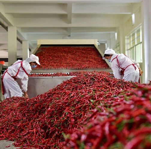 Red Chilli — In application