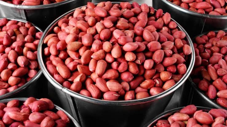 Peanut — Packed presentation