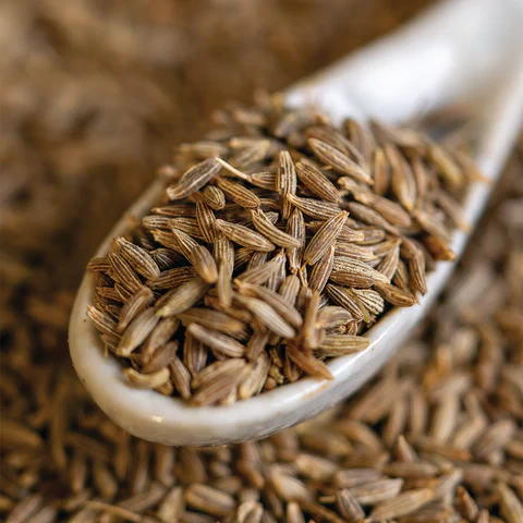 Cumin — Close texture